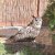 img-20260527-wa0005