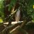 img-20260527-wa0006