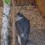 img-20260527-wa0007