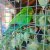 img-20260527-wa0012