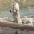 img-20260527-wa0013