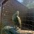 img-20260527-wa0015
