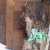 img-20260527-wa0016