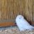 img-20260527-wa0017