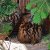 img-20260527-wa0033
