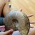 img-20260601-wa0137