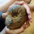 img-20260601-wa0165