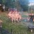 img-20260618-wa0002