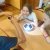 img-20260619-wa0006