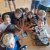 img-20260619-wa0018