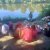 img-20260619-wa0025